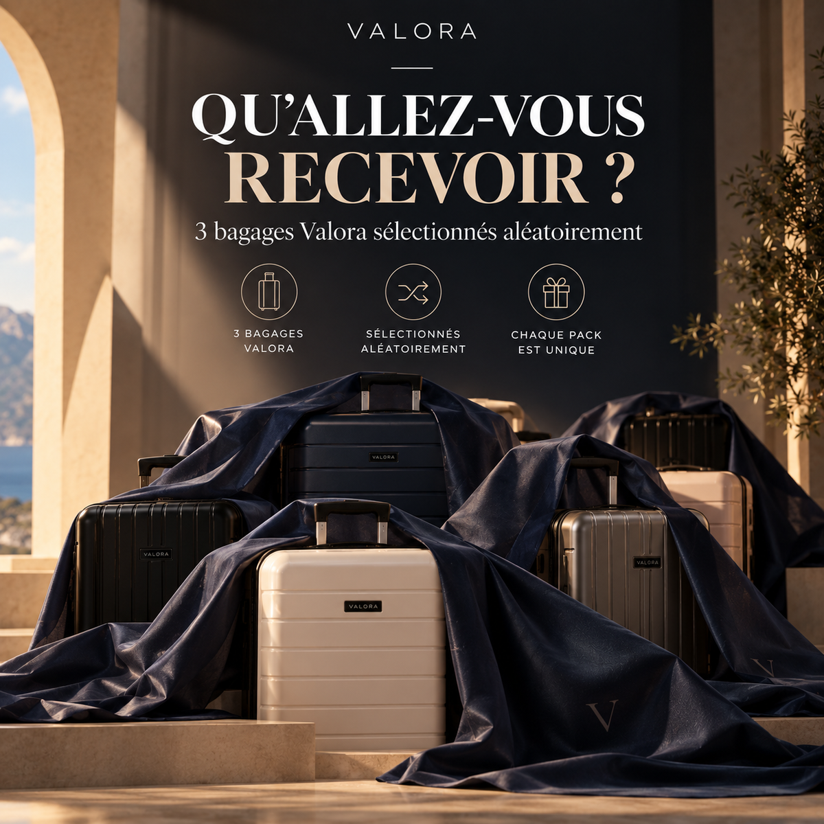 🎁 Pack mystère